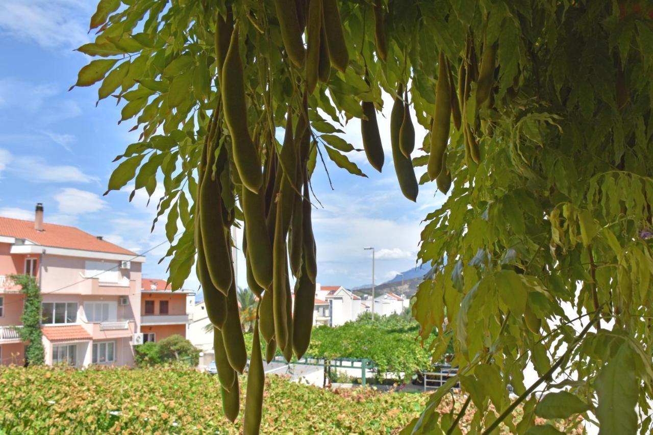 Apartments Stone Tucepi Luaran gambar